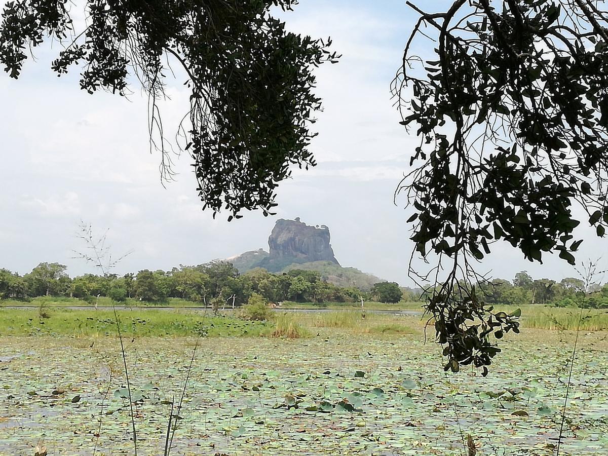 Sigiri Binara Villa Sigiriya Buitenkant foto