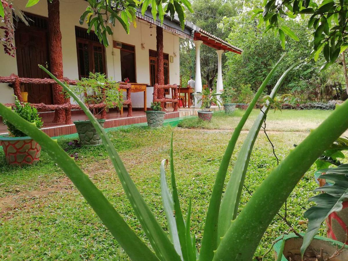 Sigiri Binara Villa Sigiriya Buitenkant foto